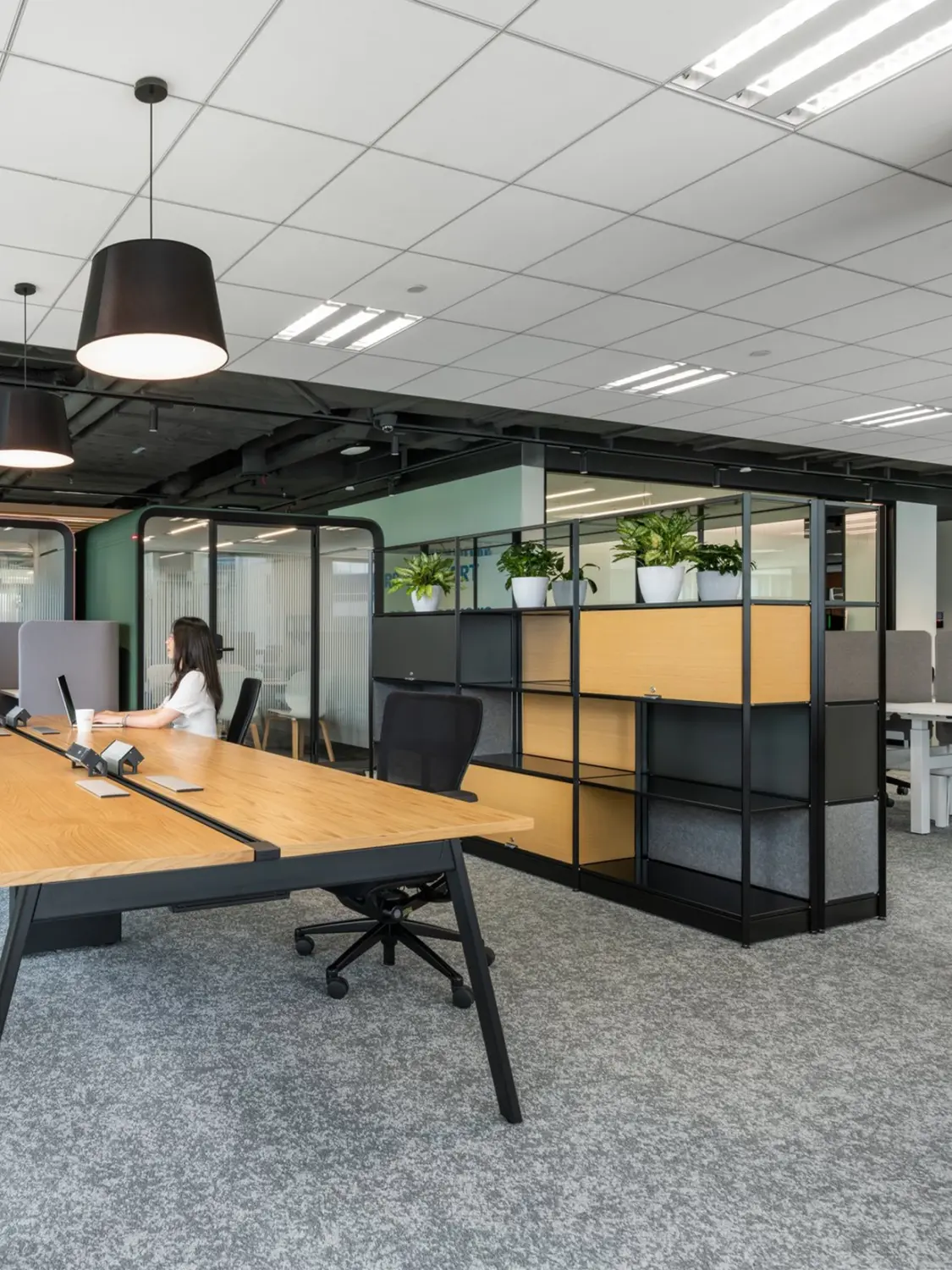 Open-plan office with a long wooden desk, black chairs, a person working at a computer, glass partitions, and a shelving unit with potted plants.