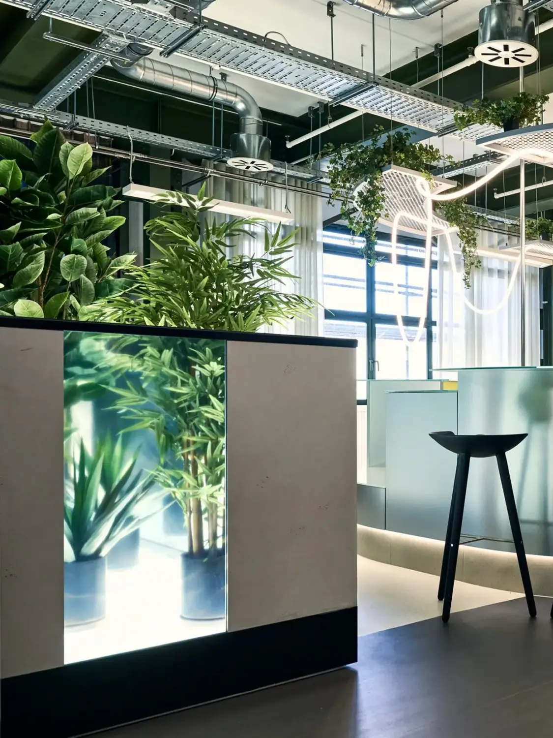 An office setting with lush greenery.